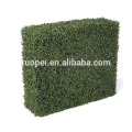 planta de parede artificial / parede verde artificial